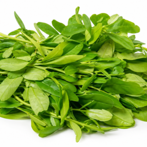 Water Leaf (1 Bunch)