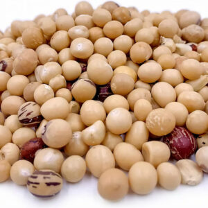 Bambara Nuts (1 Mudu)