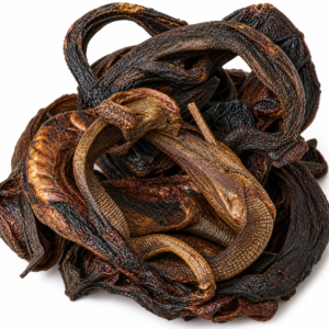 Alligator (Medium size)