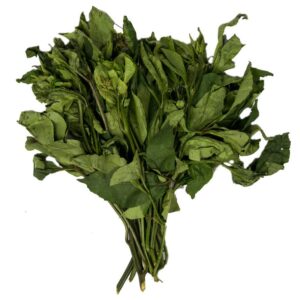 Ugu (1 Big bunch)