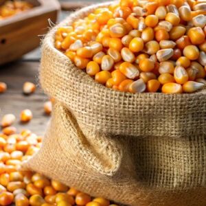 Corn Seed (1 Mudu)