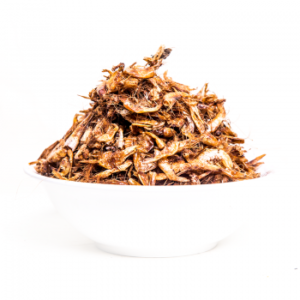 Crayfish (1 Mudu)